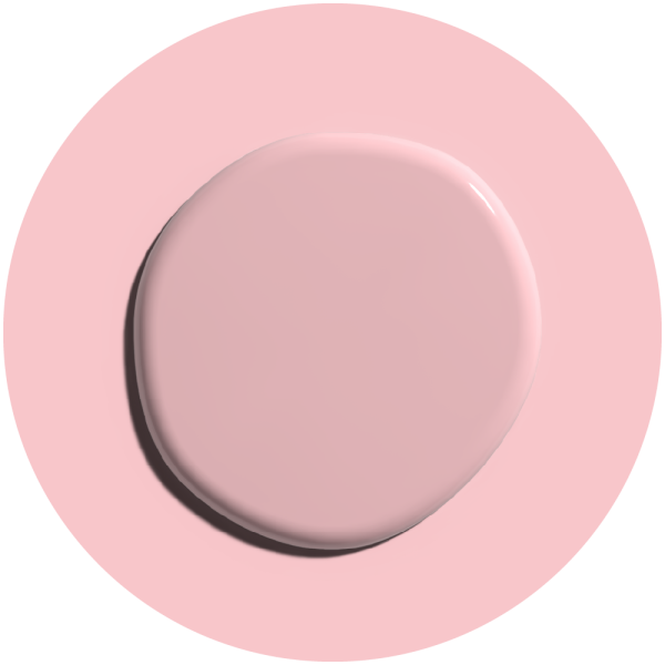 Phlox Pink