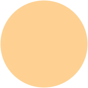 Apricot Beauty