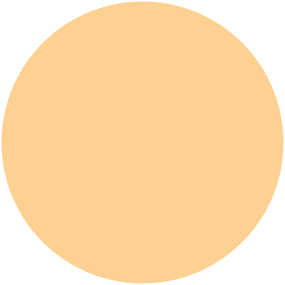 Apricot Beauty