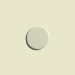 Celadon Green