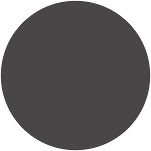 Black Tulip