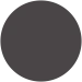 Black Tulip