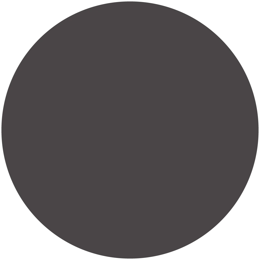 Black Tulip