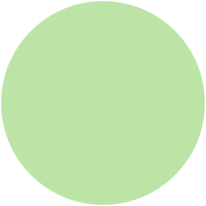 Cucumber Salad