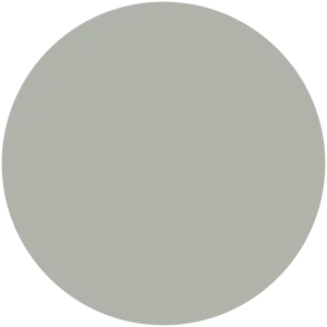 Dusty Miller
