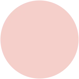 Fiesta Rose