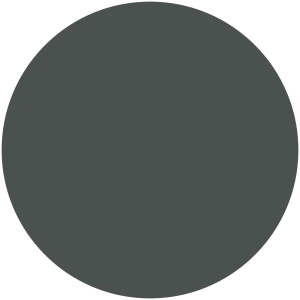 Flint Black
