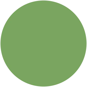 Garden Cress