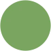 Garden Cress