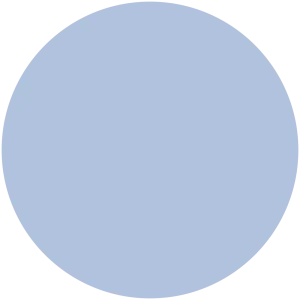 Gingham Blue