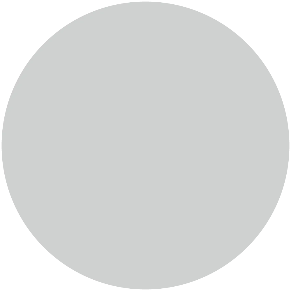 Grey Mystic