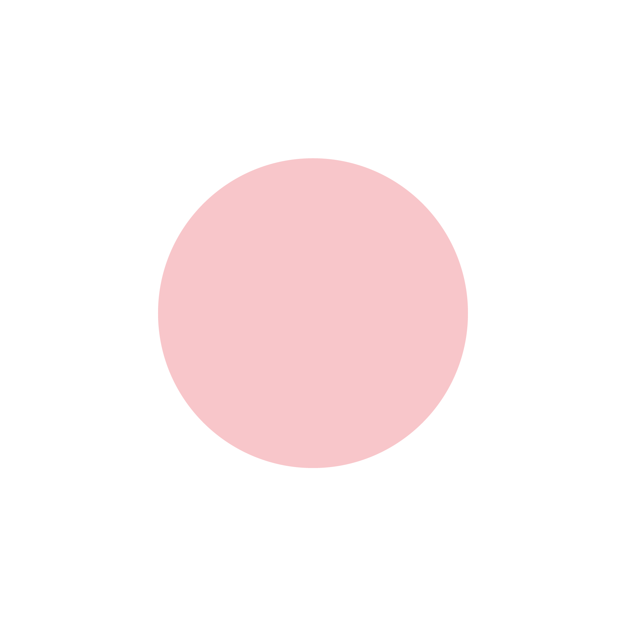Phlox Pink