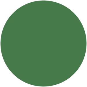 Holiday Green