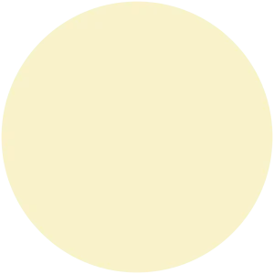 Island Palm