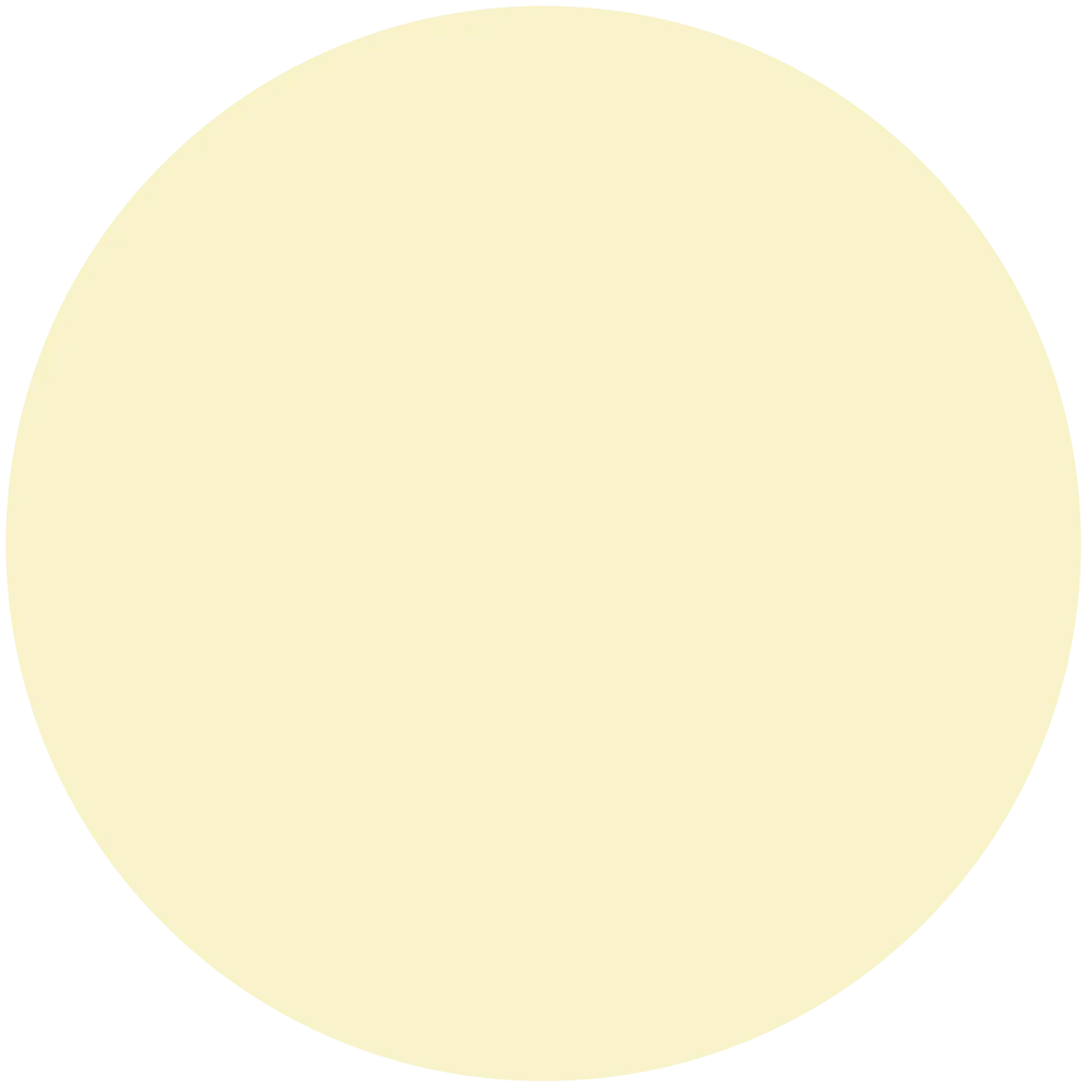 Island Palm