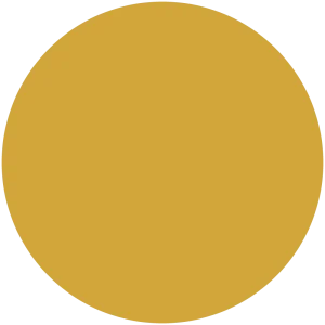 King's Consort