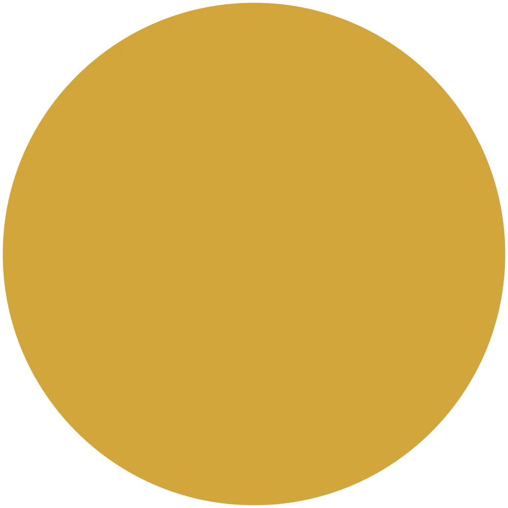 King's Consort