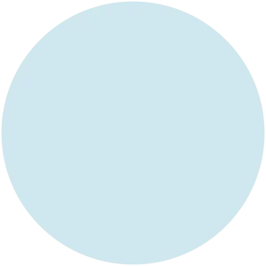 Medallion