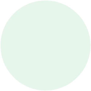 Mint Frost