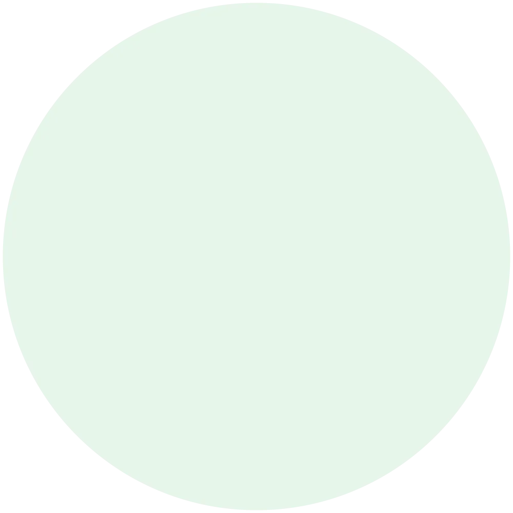 Mint Frost