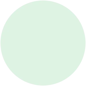 Mint Sherbet