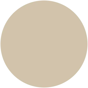 Mushroom Cream