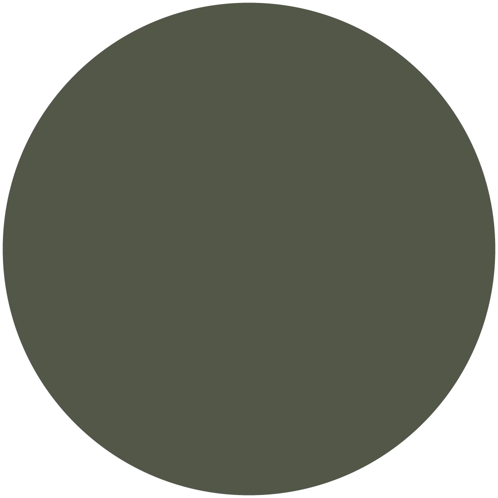 National Guard