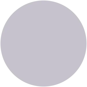 Orchid Shadow
