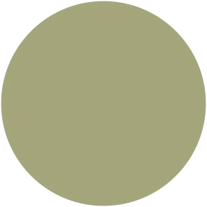 Pacific Pine