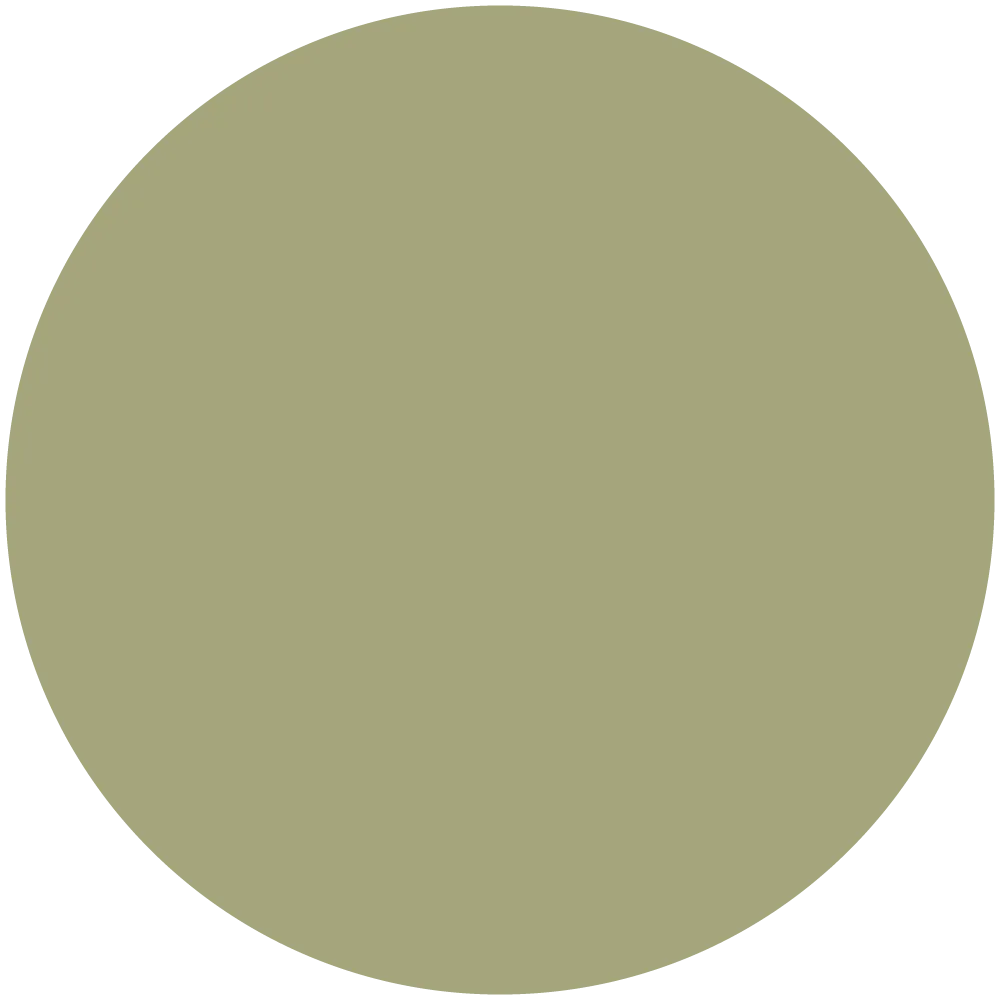 Pacific Pine