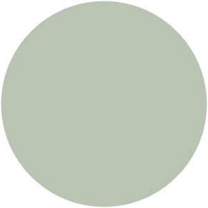 Palmetto