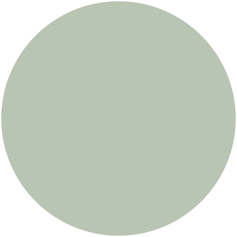 Palmetto