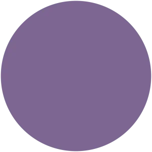 Pansy
