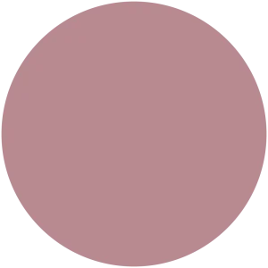 Persian Rose