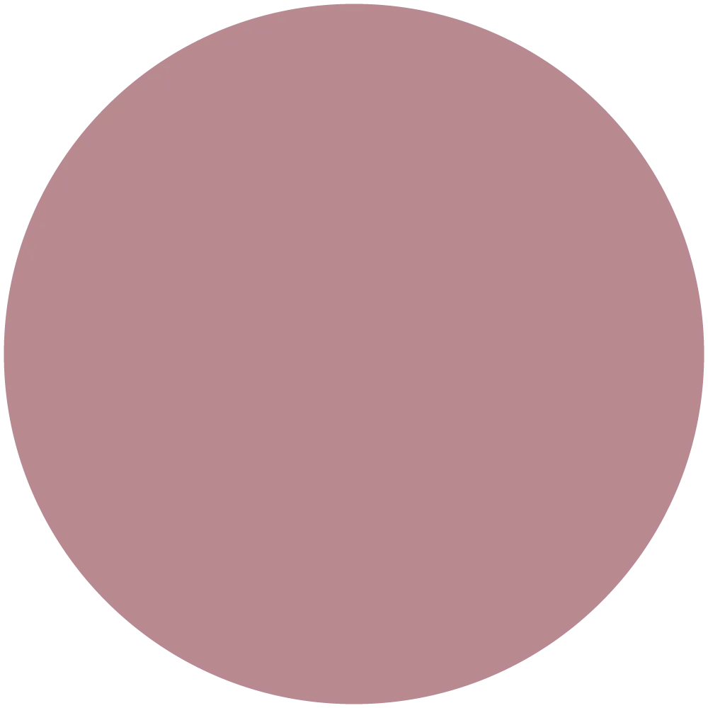 Persian Rose