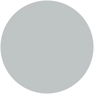 Quick Silver