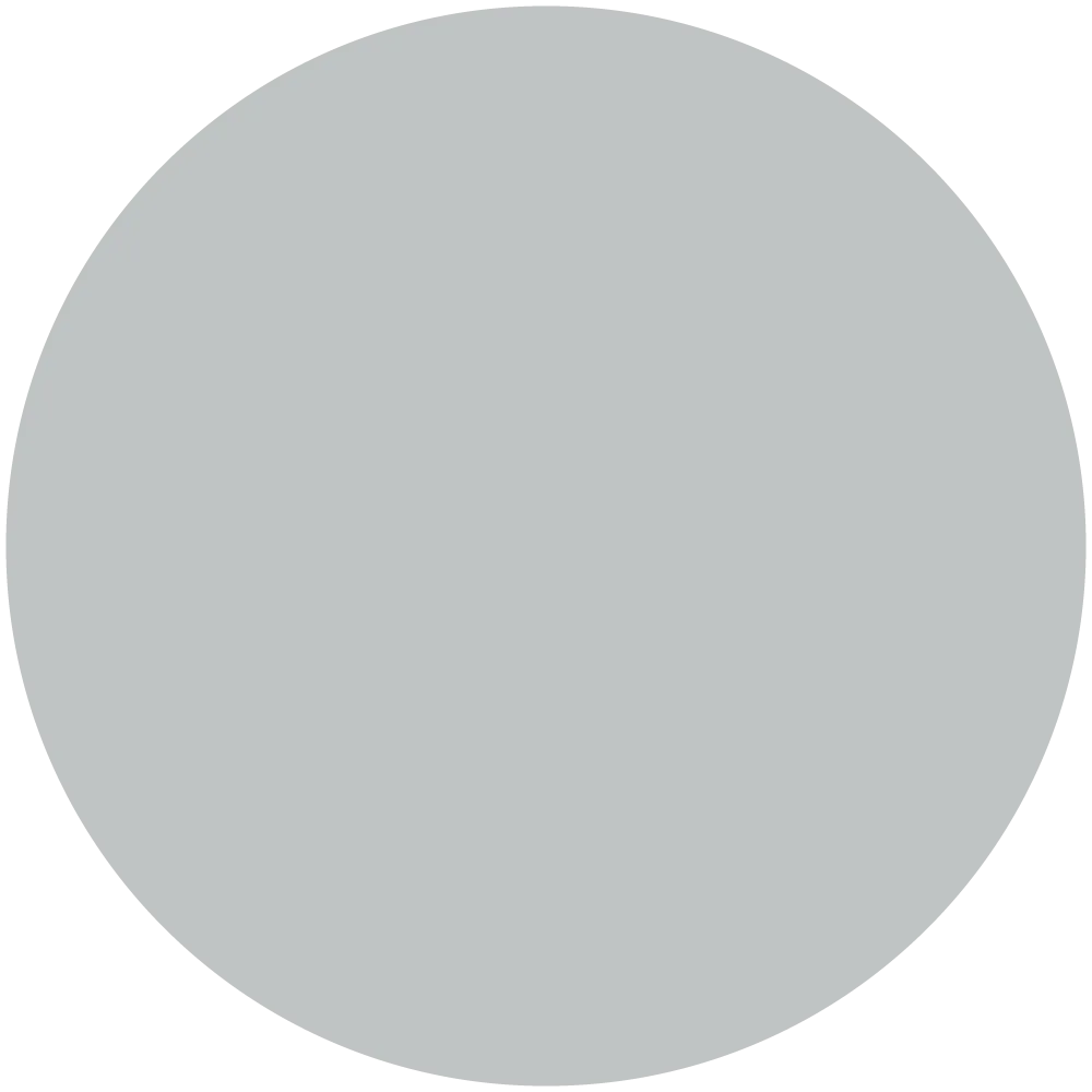 Quick Silver