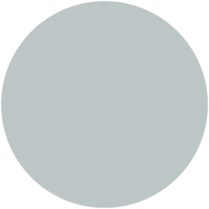 Silver Night