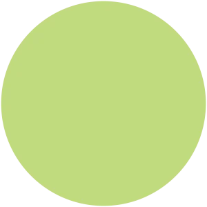 Spring Leaf
