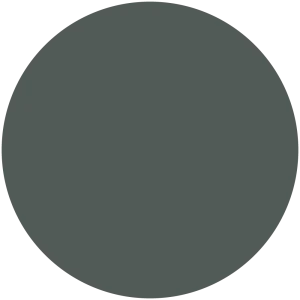 Spruce Shadow