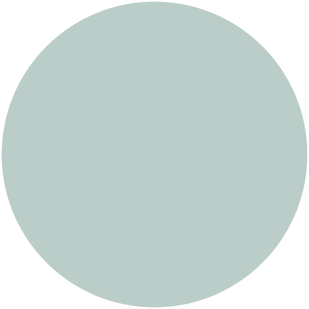Spruce Tint