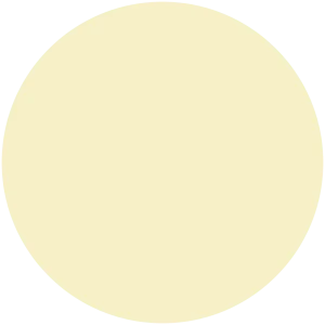 Sugar Cookie