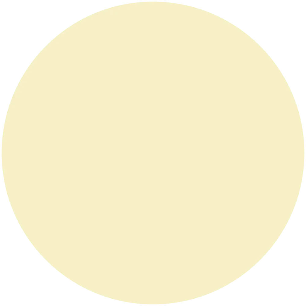 Sugar Cookie