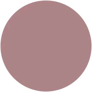 Trellis Rose