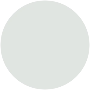 Winter Gray