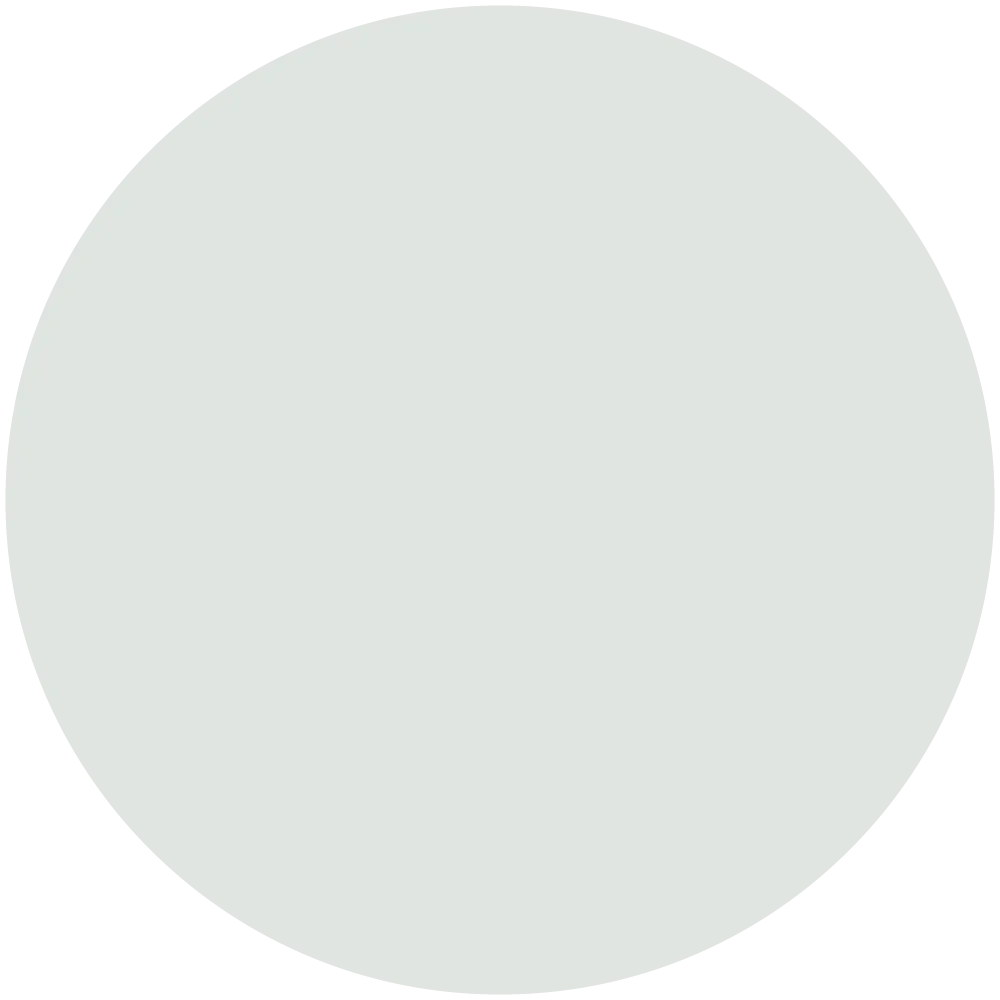 Winter Gray