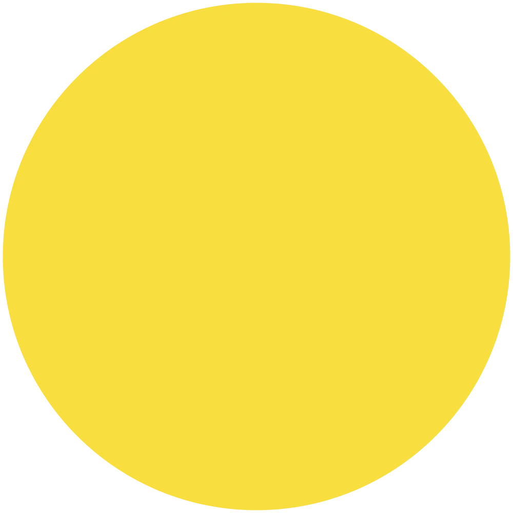 Yellow Rose