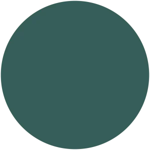 Zebulon