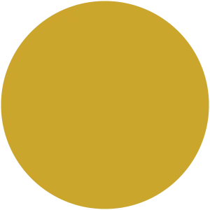 Bitter Gold