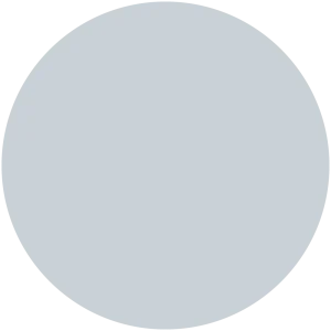 Grey Mystic